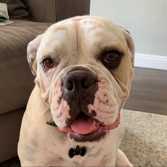 Meet your Posher, Marie - Picture 1 of 1